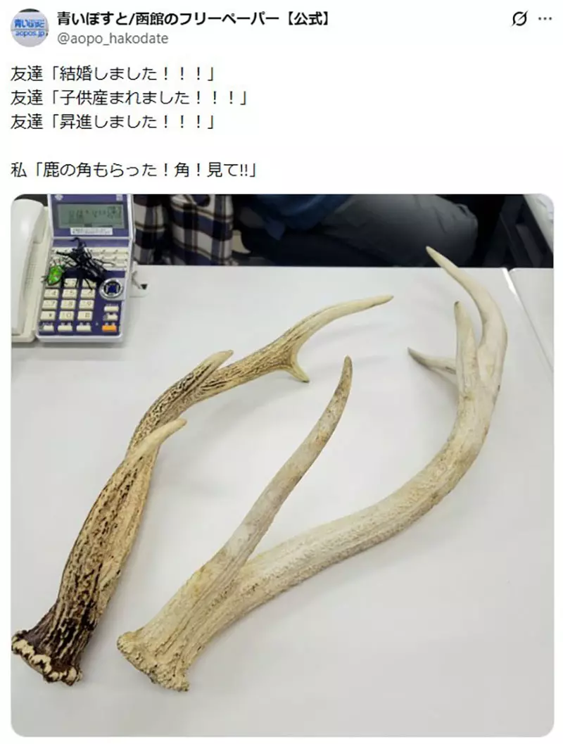 圖片13 圖片13