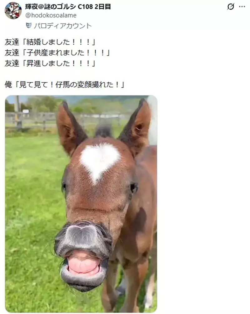 圖片14 圖片14