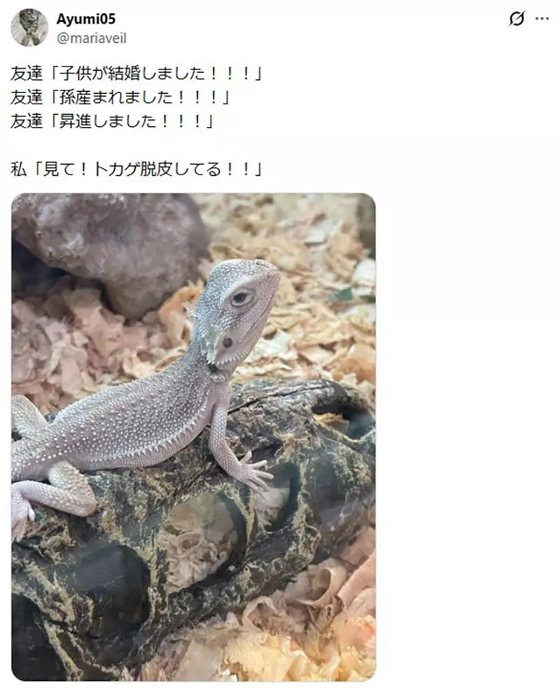 圖片15 圖片15