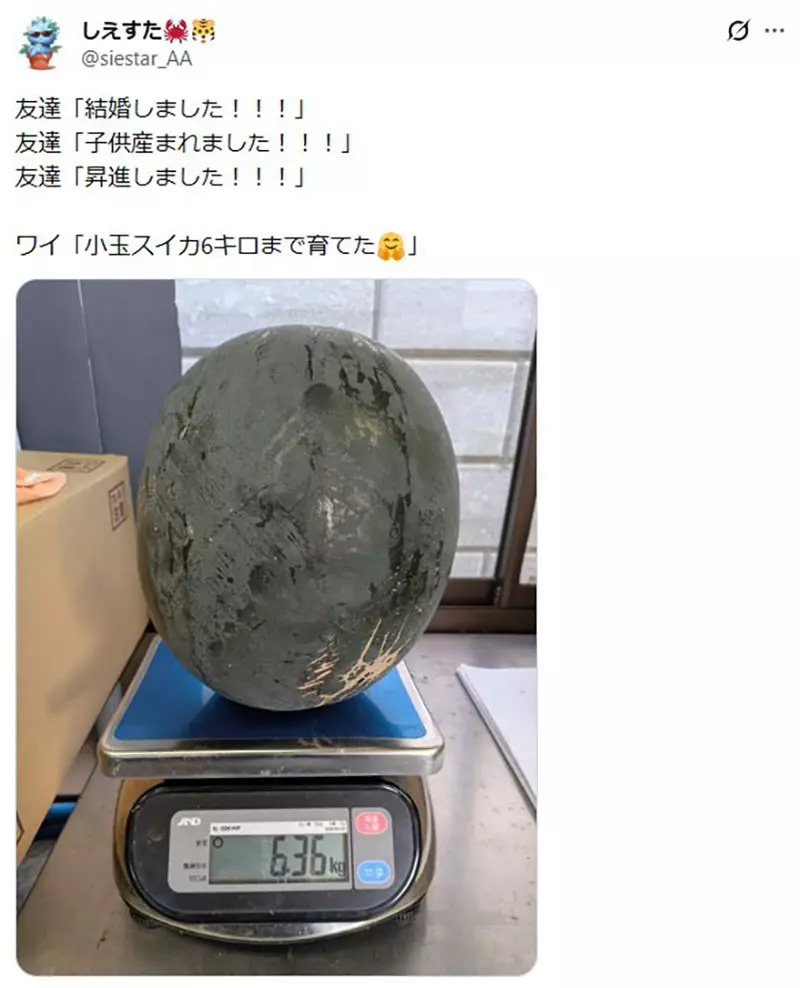 圖片18 圖片18
