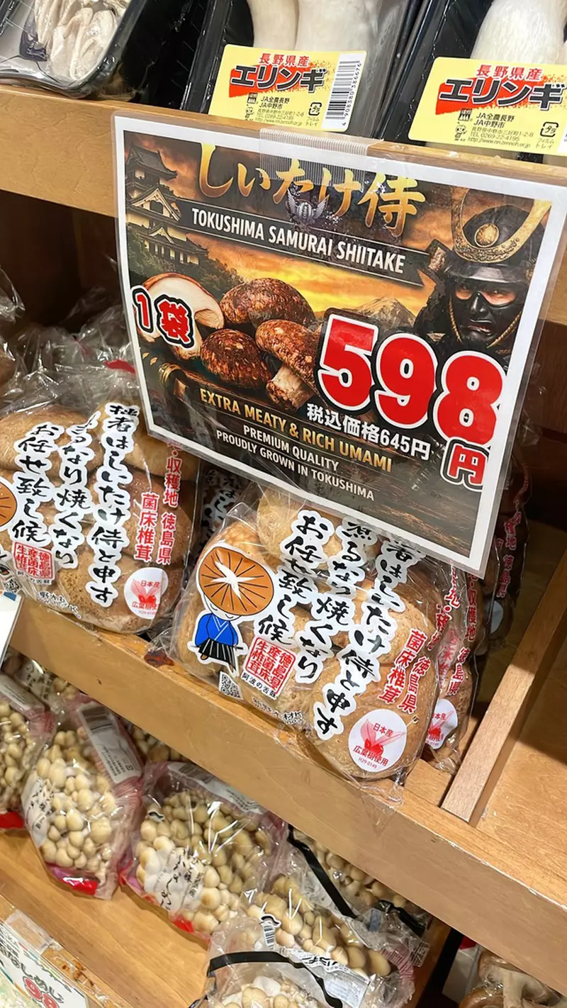 圖片11 圖片11