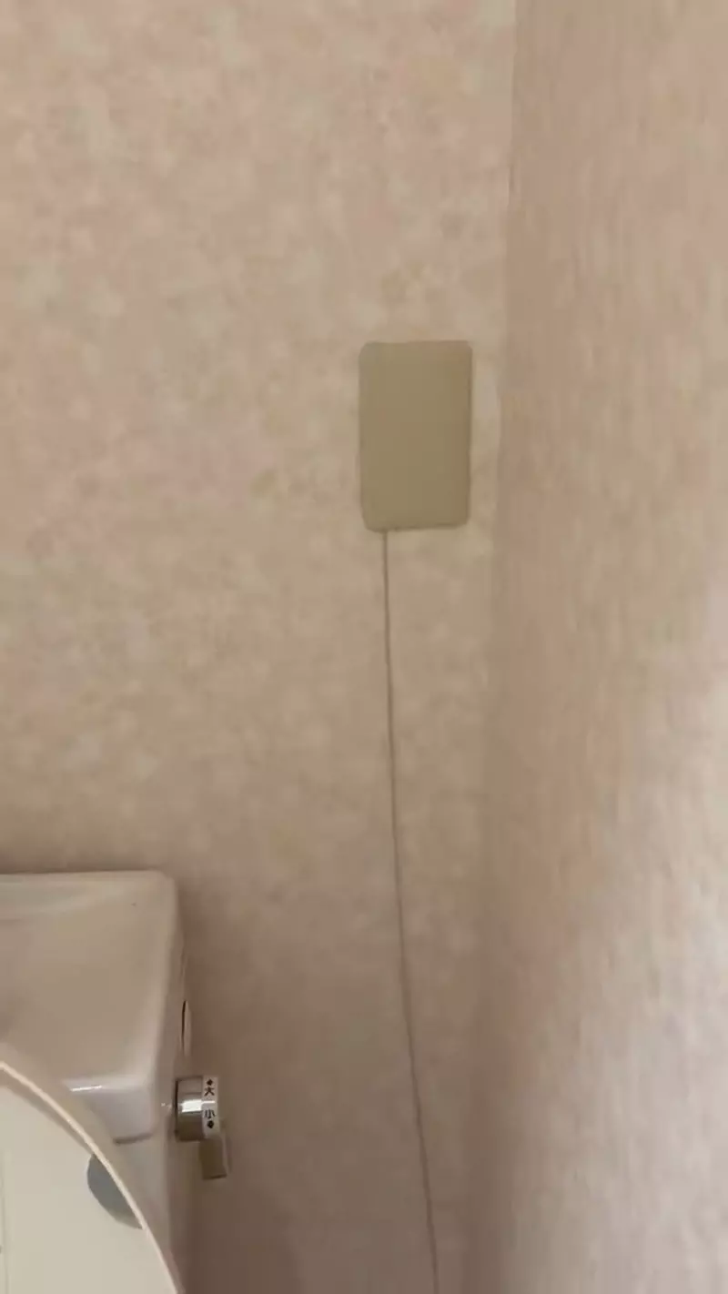 圖片3 圖片3