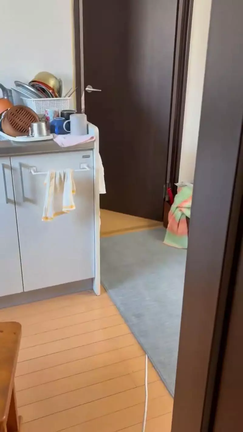 圖片5 圖片5