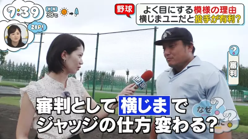 圖片19 圖片19