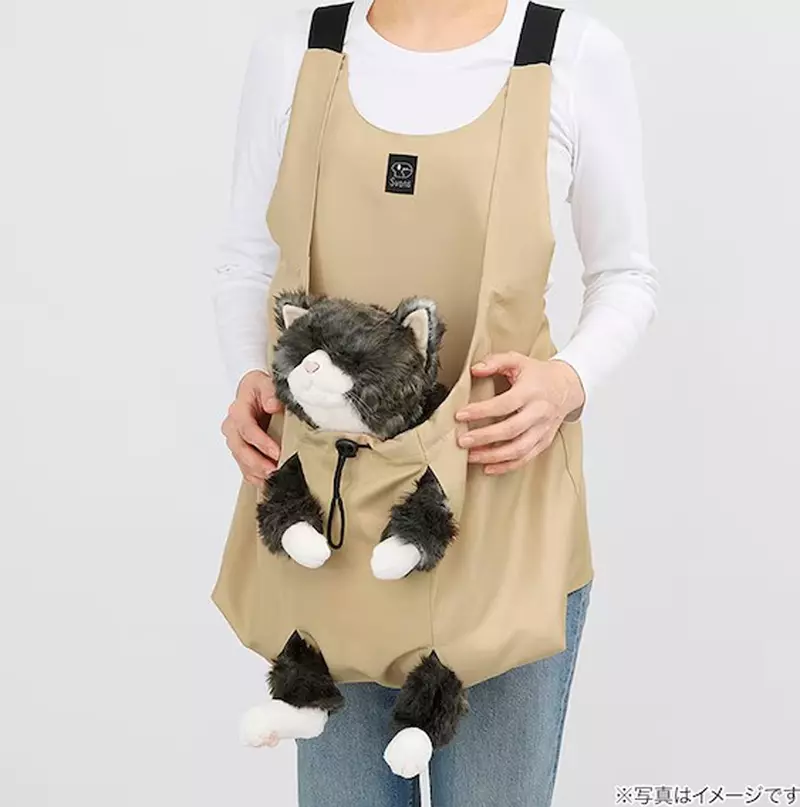 圖片7 圖片7