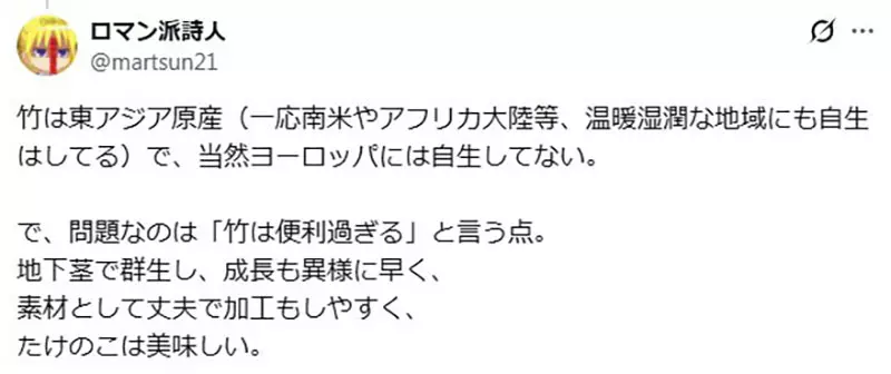 圖片3 圖片3