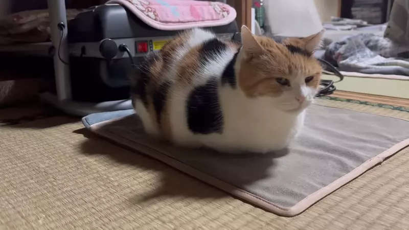 圖片4 圖片4