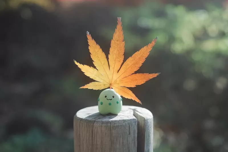 圖片9