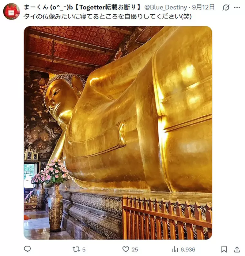 圖片6