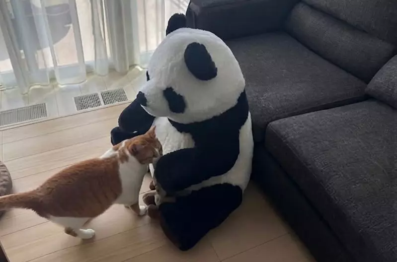圖片1