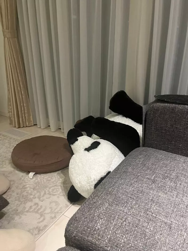 圖片2