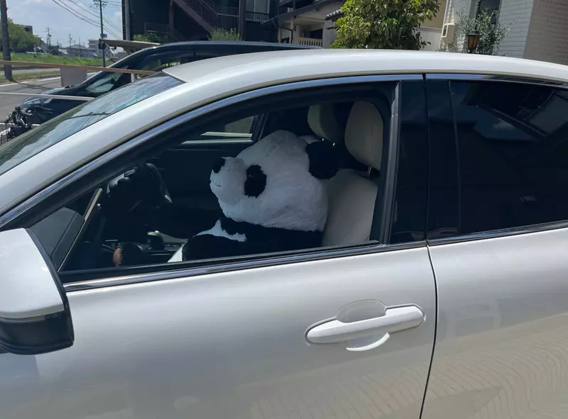 圖片6