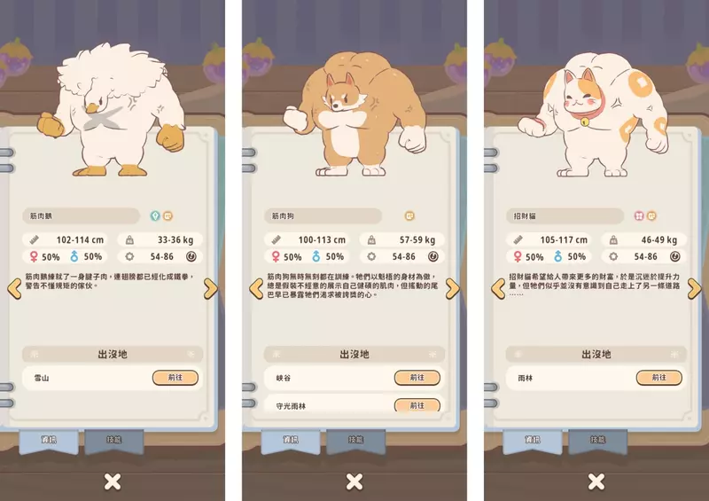 圖片10