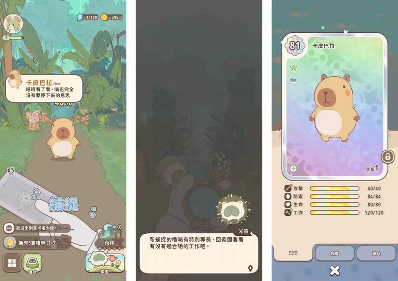 圖片16