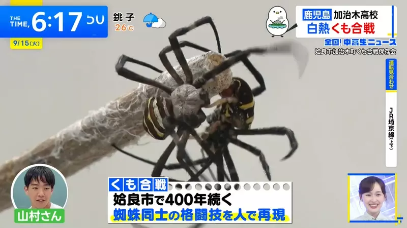 圖片9 圖片9