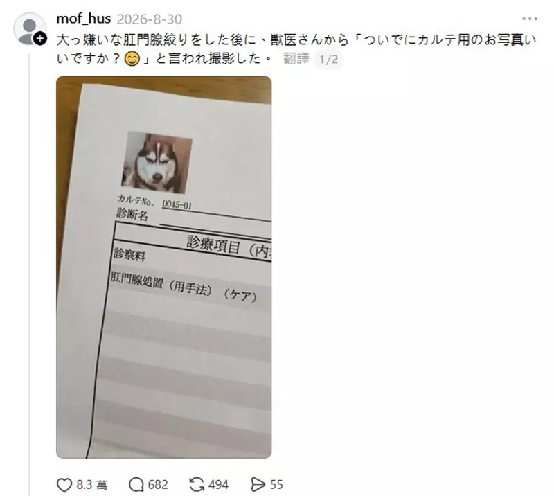 圖片2 圖片2