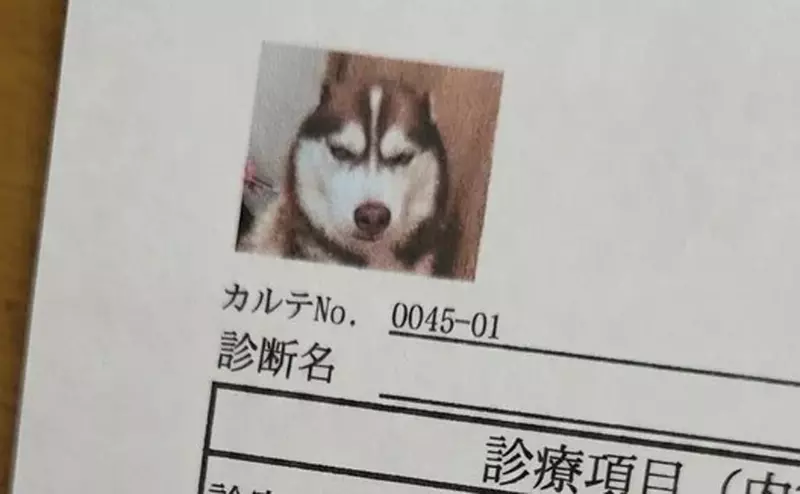 圖片1 圖片1