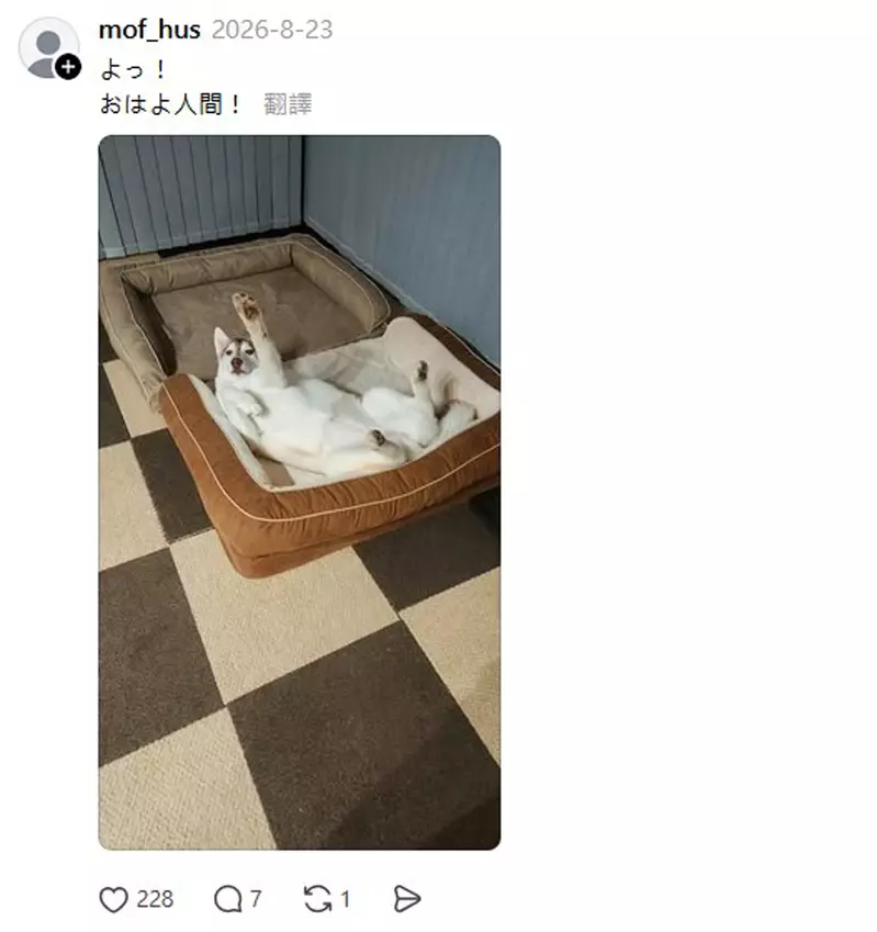 圖片4 圖片4