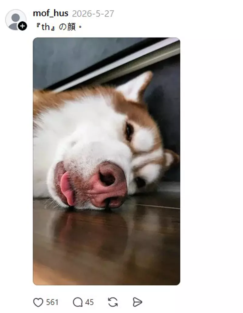 圖片6 圖片6