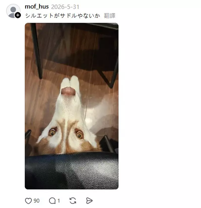 圖片5 圖片5