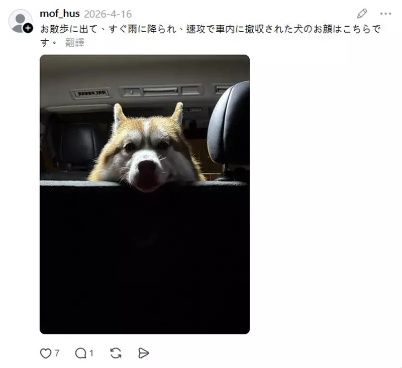 圖片3 圖片3