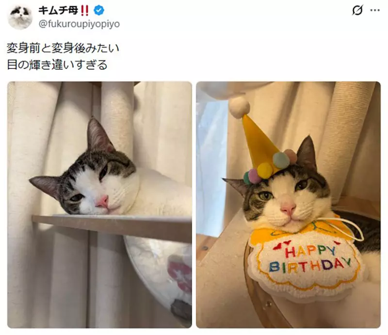 圖片6 圖片6