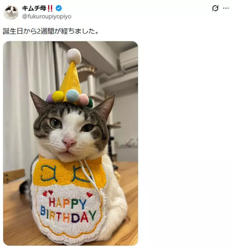 圖片7 圖片7