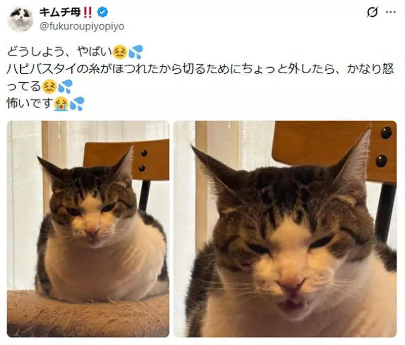圖片9 圖片9