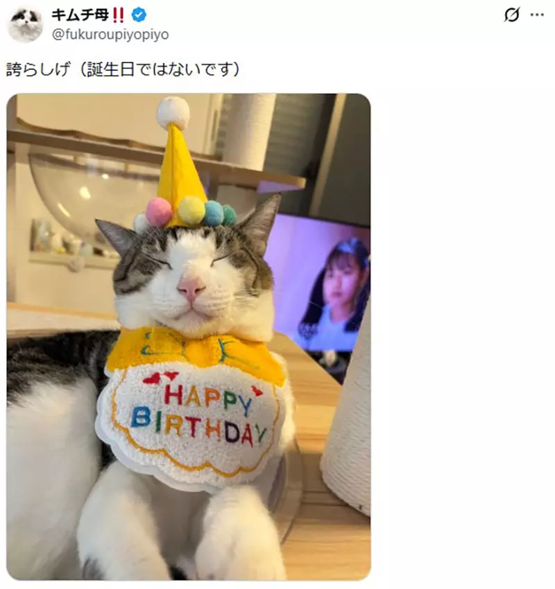 圖片8 圖片8