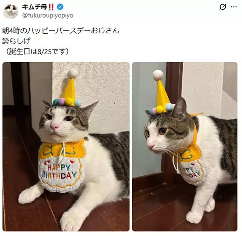 圖片5 圖片5
