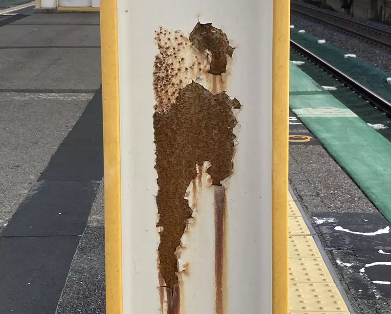 圖片1 圖片1