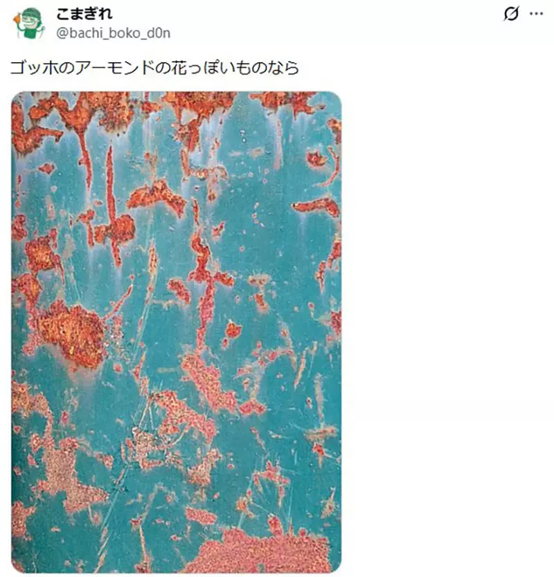 圖片5 圖片5