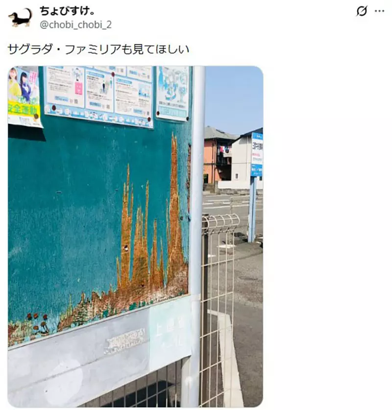 圖片8 圖片8