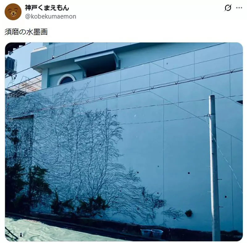 圖片11 圖片11