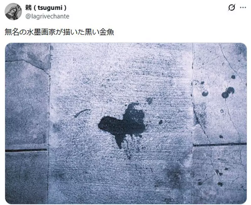 圖片14 圖片14