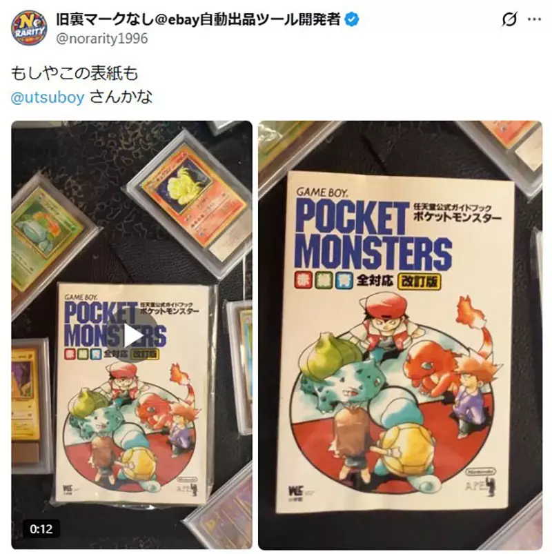 圖片15 圖片15