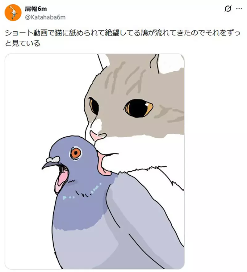圖片2 圖片2