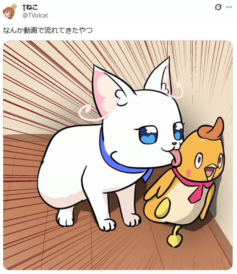 圖片11 圖片11