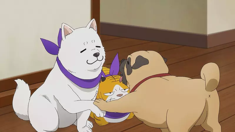 圖片2