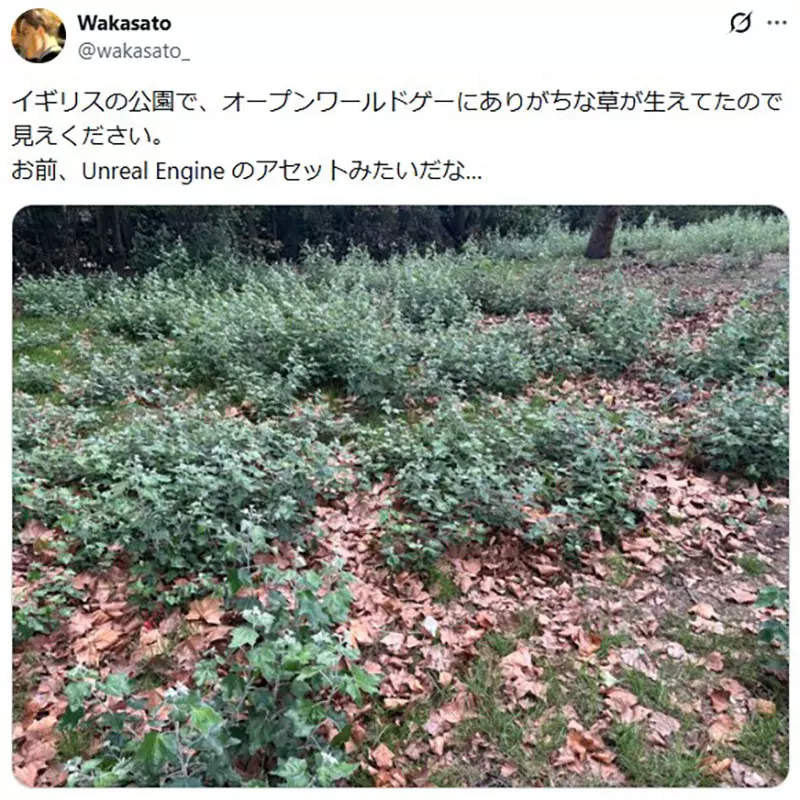 圖片2 圖片2