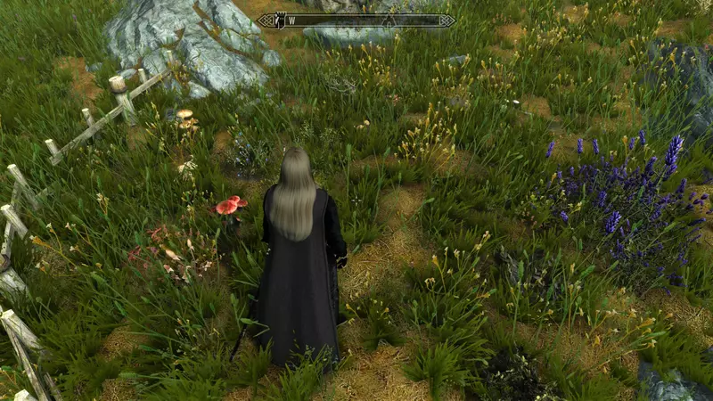 圖片1 圖片1