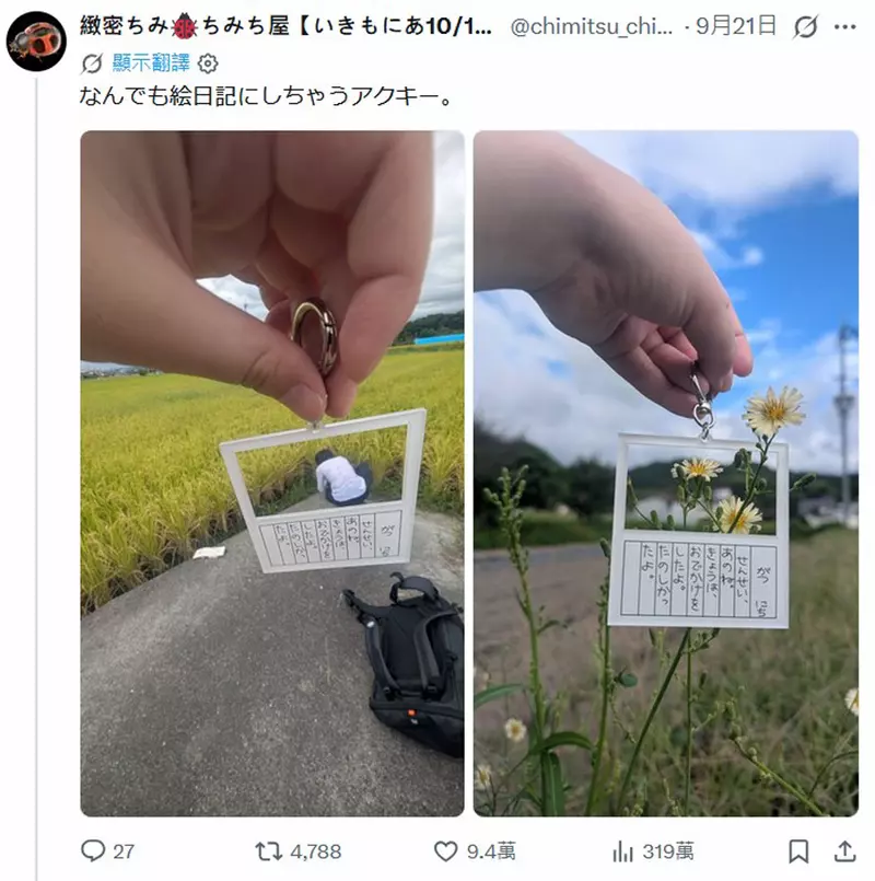 圖片5