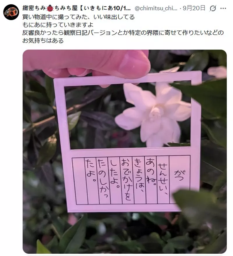 圖片4