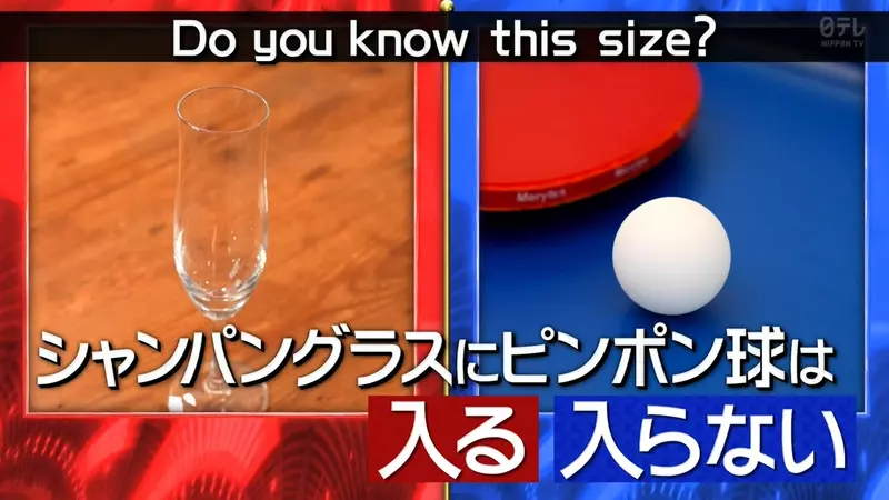 圖片11