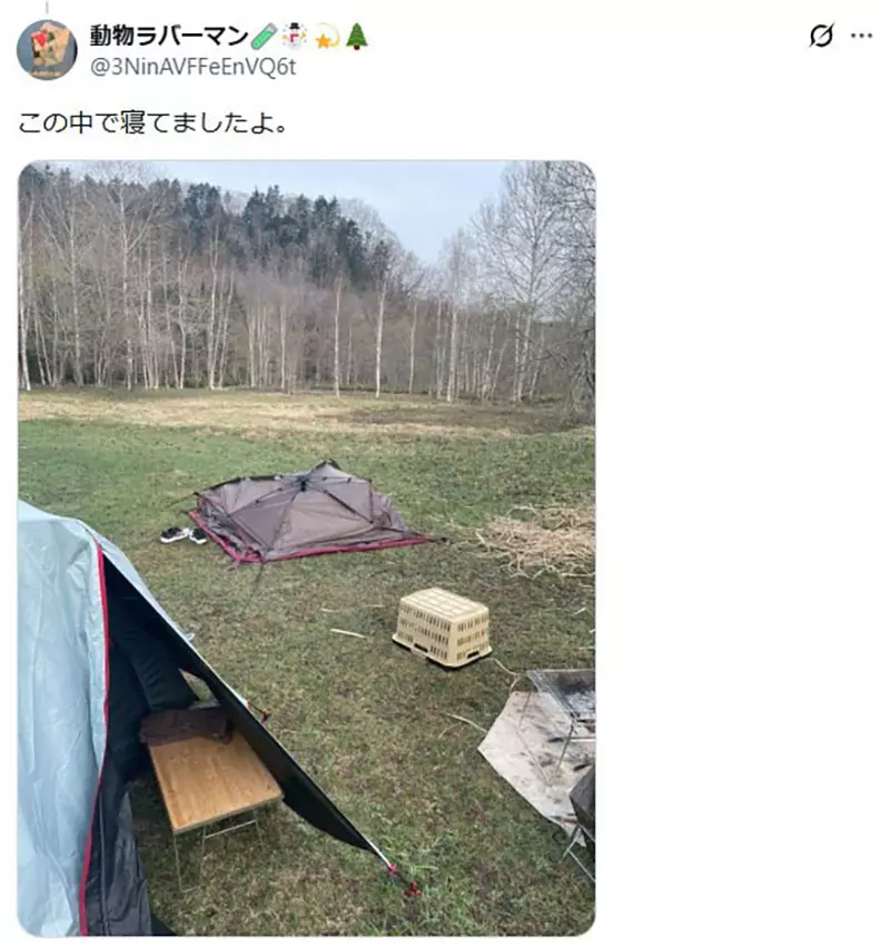 圖片12