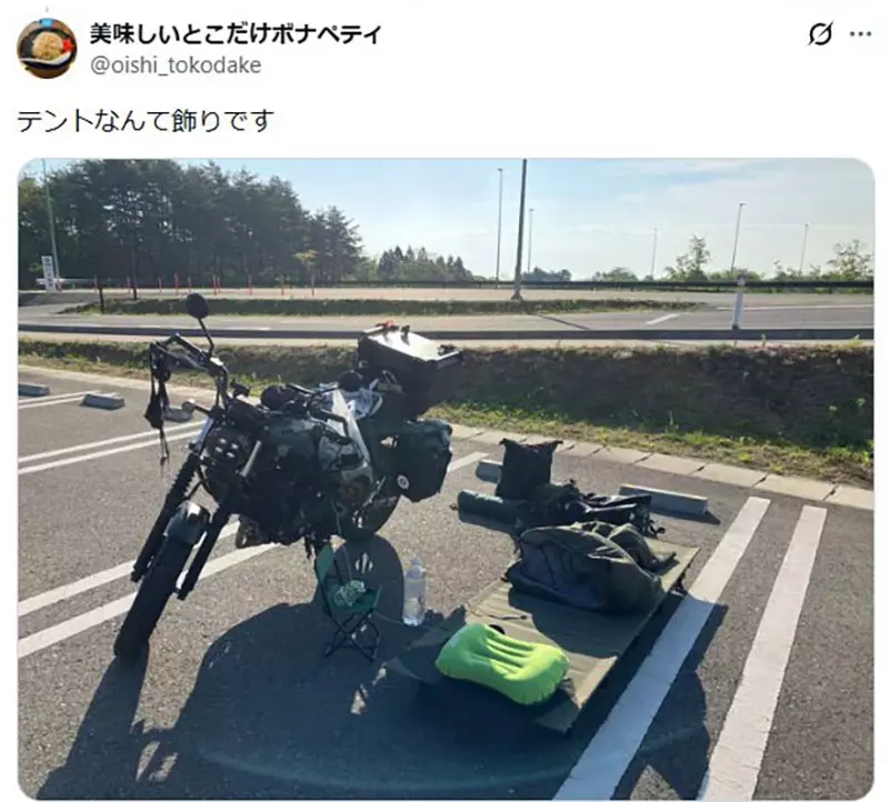 圖片15