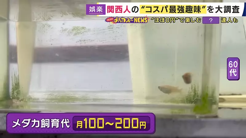 圖片4 圖片4
