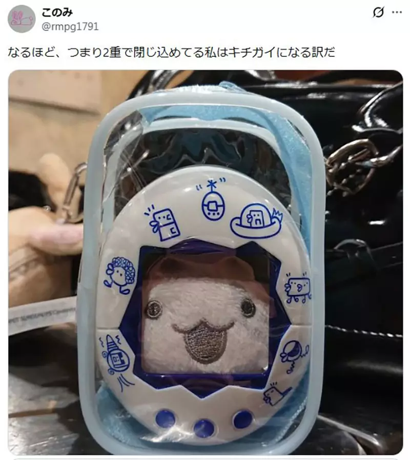 圖片11 圖片11