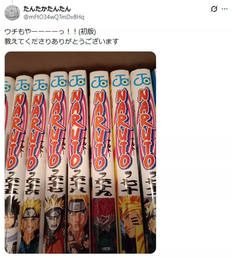 圖片14