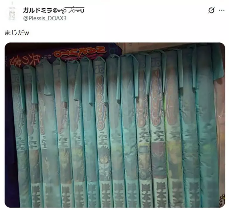 圖片13